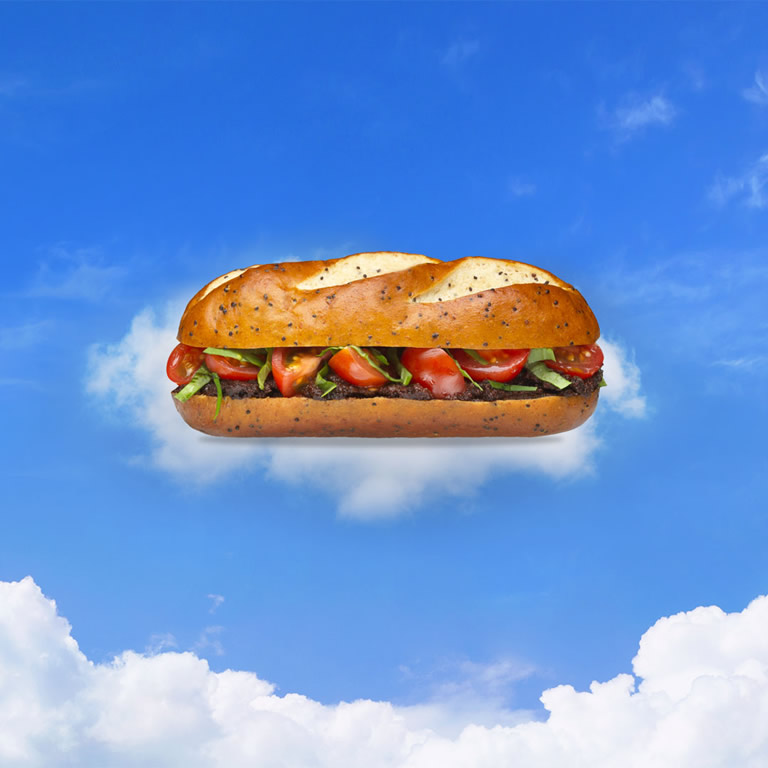 Le sudiste - Bretzel